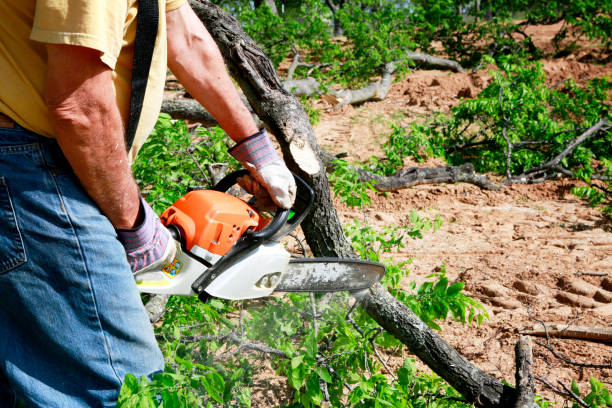 Best Utility Line Clearance  in Hartford, AL